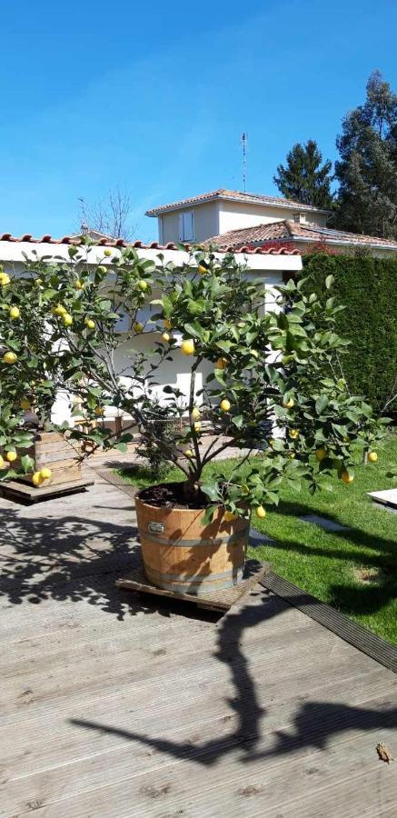 Bed and Breakfast Chez Jeanfi Fronsac  Exterior foto